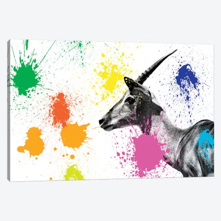 Antelope Profile IV Canvas Print #PHD226} by Philippe Hugonnard Canvas Print