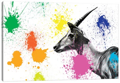 Antelope Profile IV Canvas Art Print