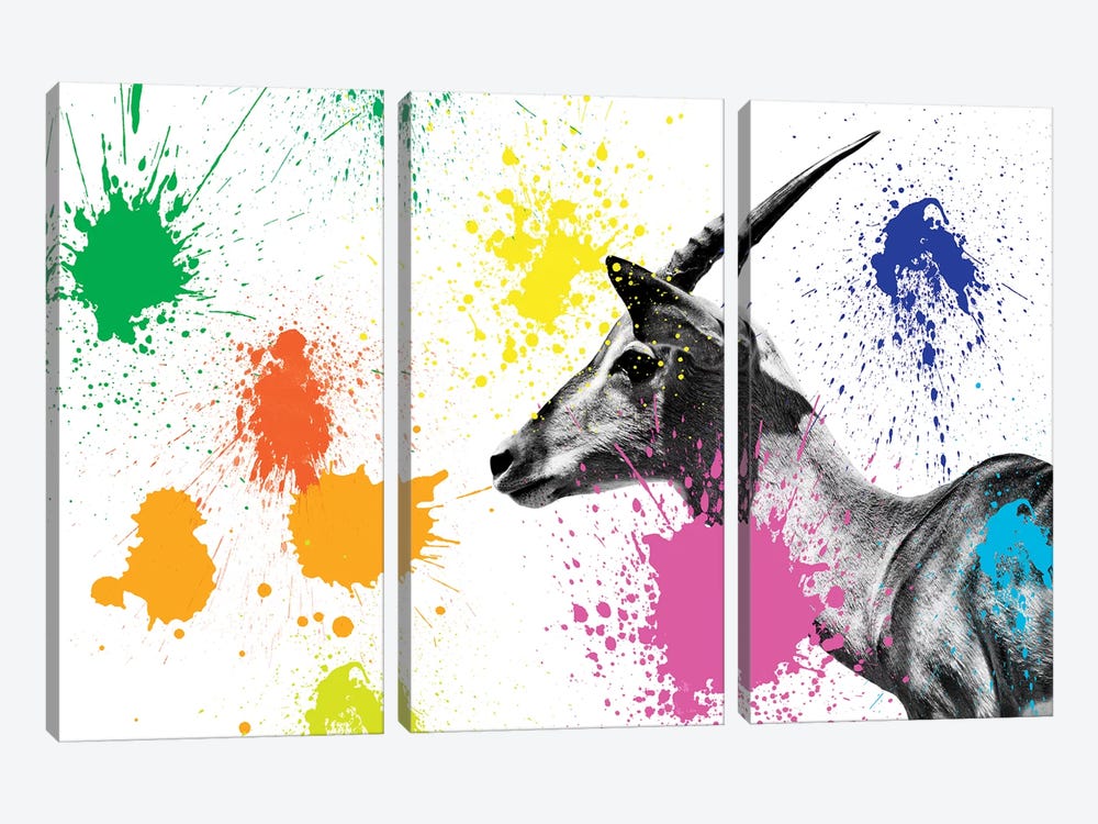 Antelope Profile IV by Philippe Hugonnard 3-piece Art Print