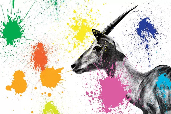 Antelopes: Antelope Profile IV by Philippe Hugonnard