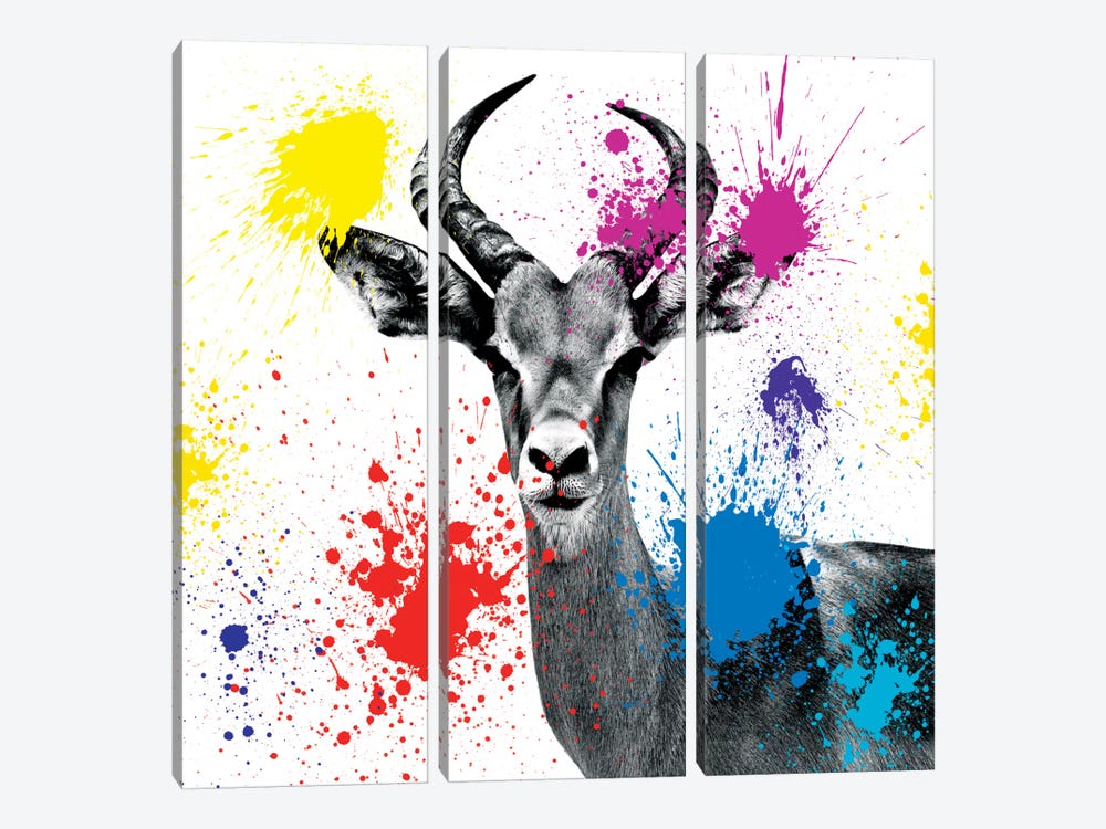 Antelope Reedbuck III by Philippe Hugonnard 3-piece Canvas Art