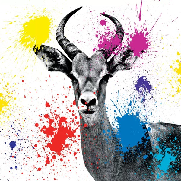 Antlers: Antelope Reedbuck III by Philippe Hugonnard