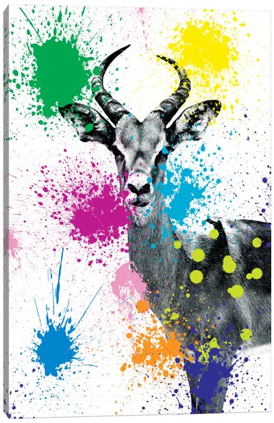 Antelope Reedbuck V Canvas Art Print - The Seven Wonders of the World