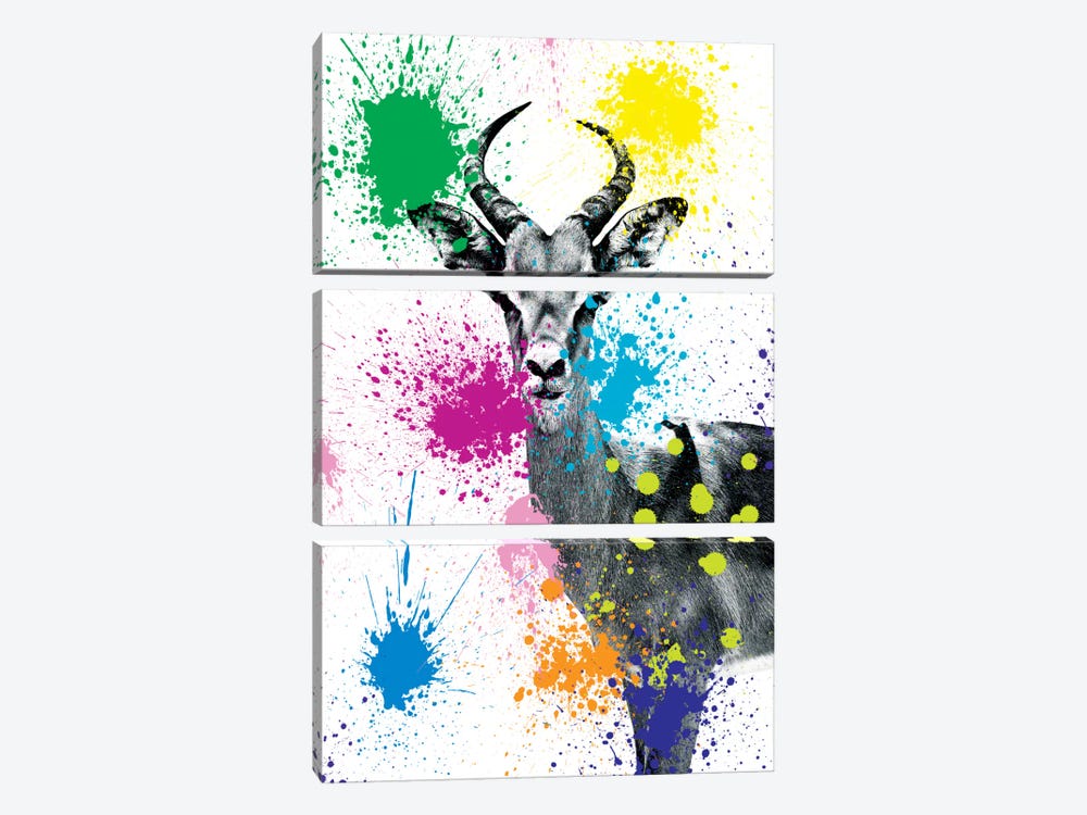 Antelope Reedbuck V by Philippe Hugonnard 3-piece Canvas Art Print