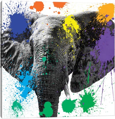 Elephant II Canvas Art Print - African Safari