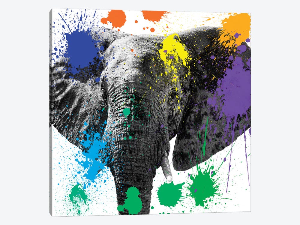 Elephant II by Philippe Hugonnard 1-piece Canvas Art