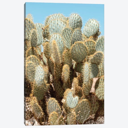 American West - Cacti Canvas Print #PHD2305} by Philippe Hugonnard Canvas Art Print
