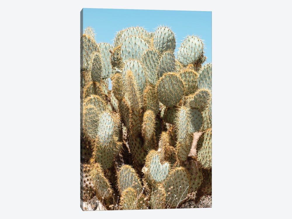 American West - Cacti by Philippe Hugonnard 1-piece Canvas Art Print