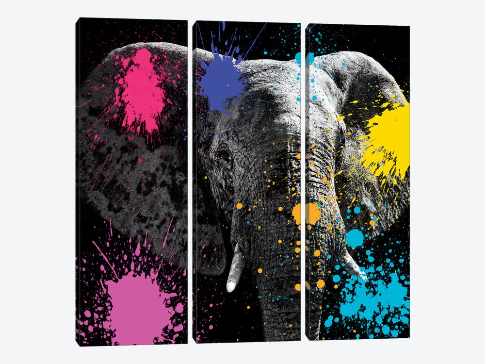 Elephant III by Philippe Hugonnard 3-piece Canvas Wall Art