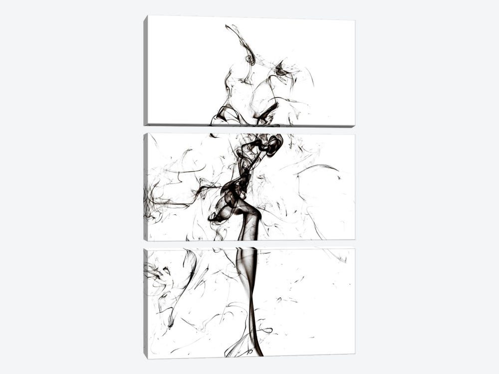 Abstract Black Smoke - The Dancer by Philippe Hugonnard 3-piece Canvas Print