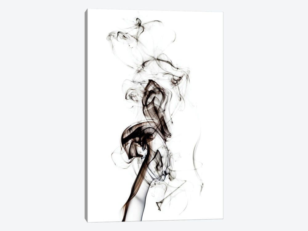 Abstract Black Smoke - Seahorse by Philippe Hugonnard 1-piece Canvas Art