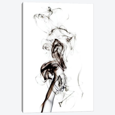 Abstract Black Smoke - Seahorse Canvas Print #PHD2315} by Philippe Hugonnard Canvas Artwork