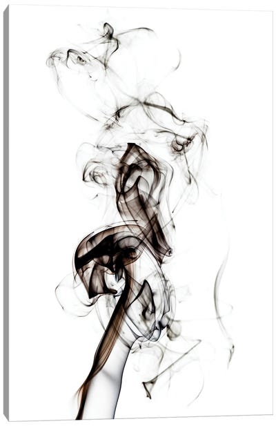 Abstract Black Smoke - Seahorse Canvas Art Print - Abstract Smoke