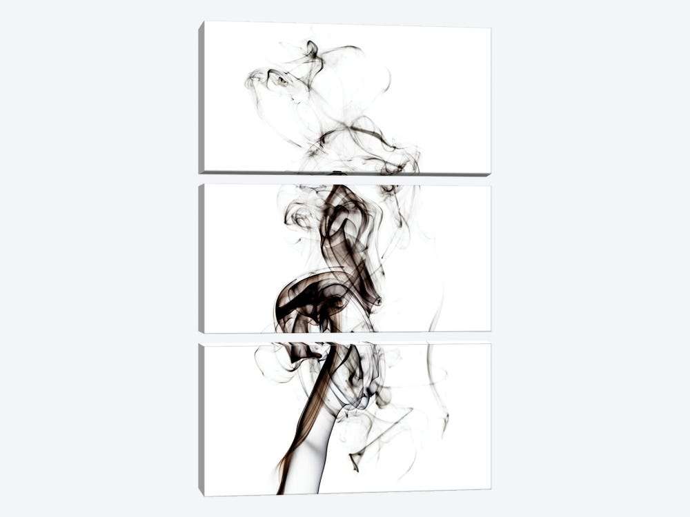 Abstract Black Smoke - Seahorse by Philippe Hugonnard 3-piece Canvas Art