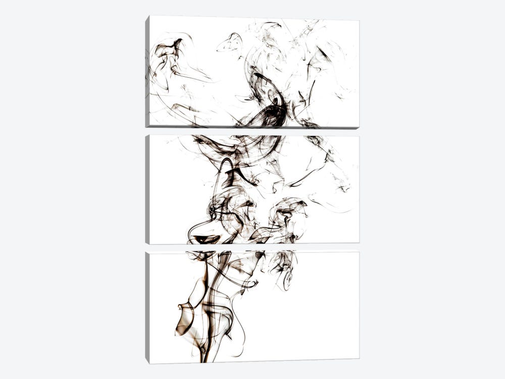 Abstract Black Smoke - Horse Fever by Philippe Hugonnard 3-piece Art Print