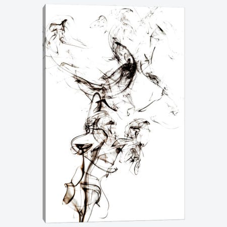 Abstract Black Smoke - Horse Fever Canvas Print #PHD2316} by Philippe Hugonnard Canvas Artwork