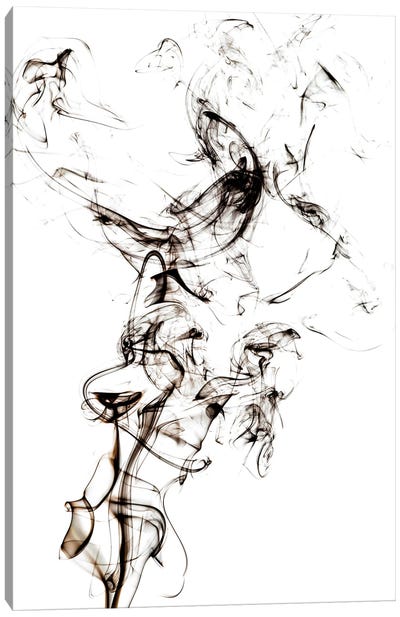 Abstract Black Smoke - Horse Fever Canvas Art Print - Abstract Smoke