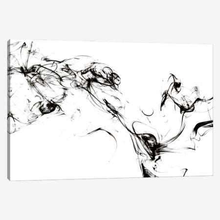 Abstract Black Smoke - Spirit Mood Canvas Print #PHD2317} by Philippe Hugonnard Canvas Wall Art