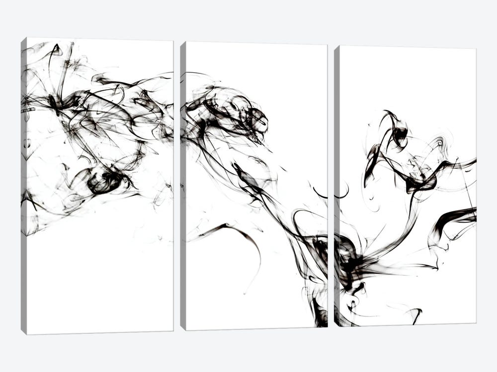Abstract Black Smoke - Spirit Mood by Philippe Hugonnard 3-piece Canvas Art