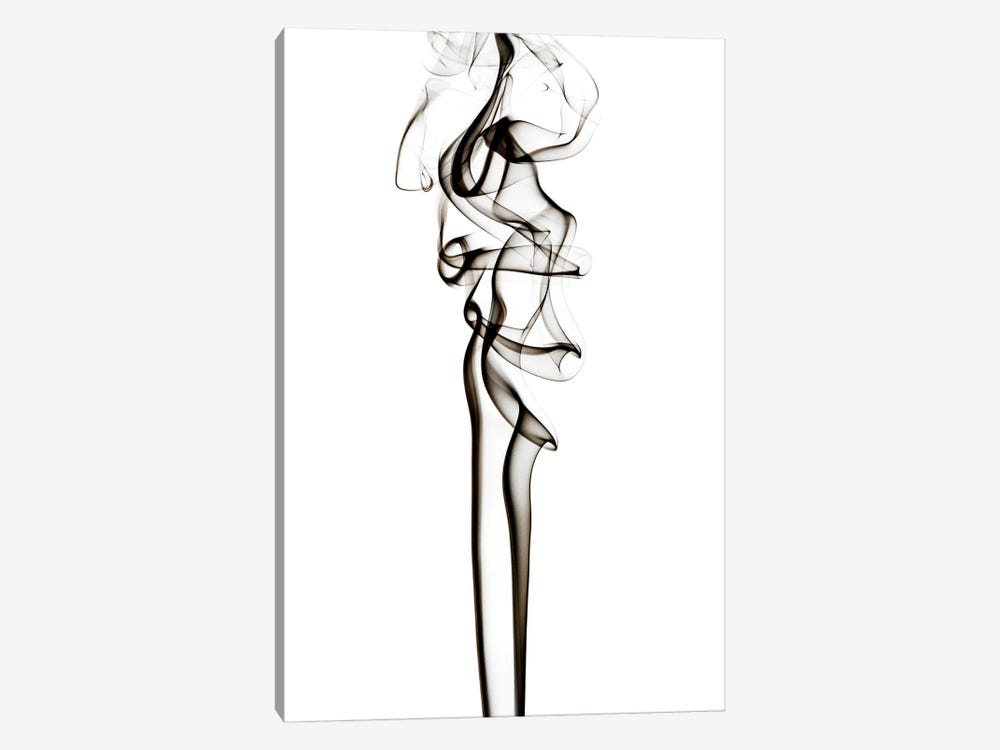 Abstract Black Smoke - Sensual by Philippe Hugonnard 1-piece Canvas Art Print