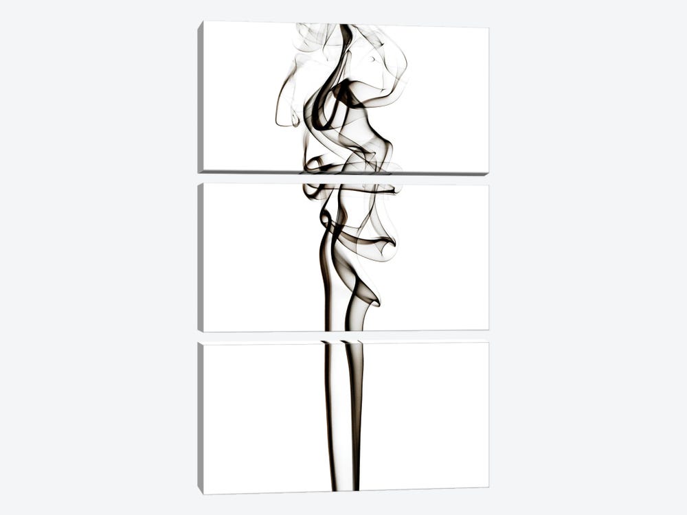 Abstract Black Smoke - Sensual by Philippe Hugonnard 3-piece Art Print