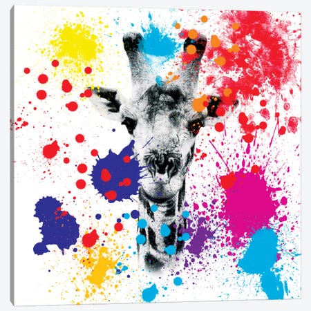 Giraffe III Canvas Print #PHD231} by Philippe Hugonnard Canvas Print