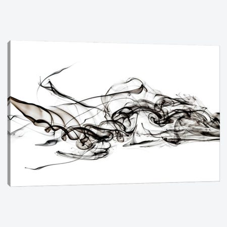 Abstract Black Smoke - Shark Canvas Print #PHD2320} by Philippe Hugonnard Canvas Art