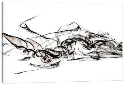 Abstract Black Smoke - Shark Canvas Art Print - Abstract Smoke