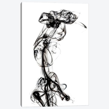 Abstract Black Smoke - Chimera Woman Canvas Print #PHD2321} by Philippe Hugonnard Canvas Wall Art