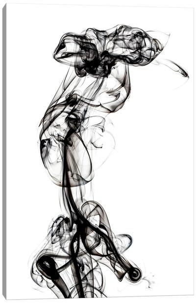 Abstract Black Smoke - Chimera Woman Canvas Art Print - Abstract Smoke