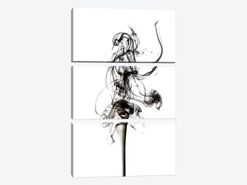 Abstract Black Smoke - Prima Ballerina by Philippe Hugonnard 3-piece Canvas Wall Art