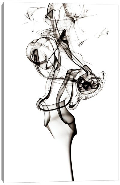 Abstract Black Smoke - Tulip Dream Canvas Art Print - Abstract Smoke