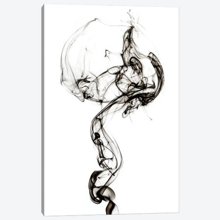 Abstract Black Smoke - Medusa Canvas Print #PHD2324} by Philippe Hugonnard Canvas Print