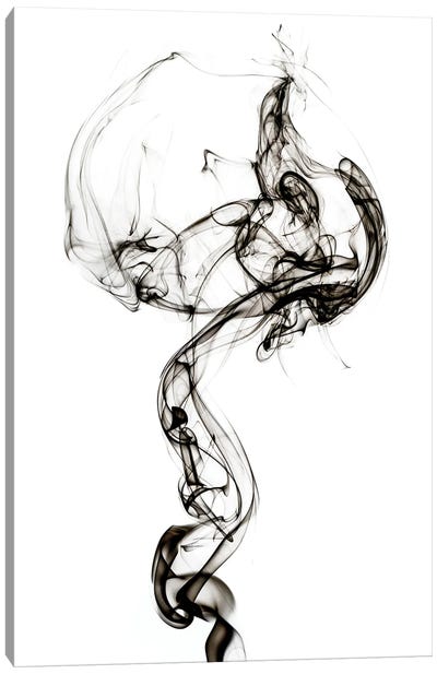 Abstract Black Smoke - Medusa Canvas Art Print - Abstract Smoke