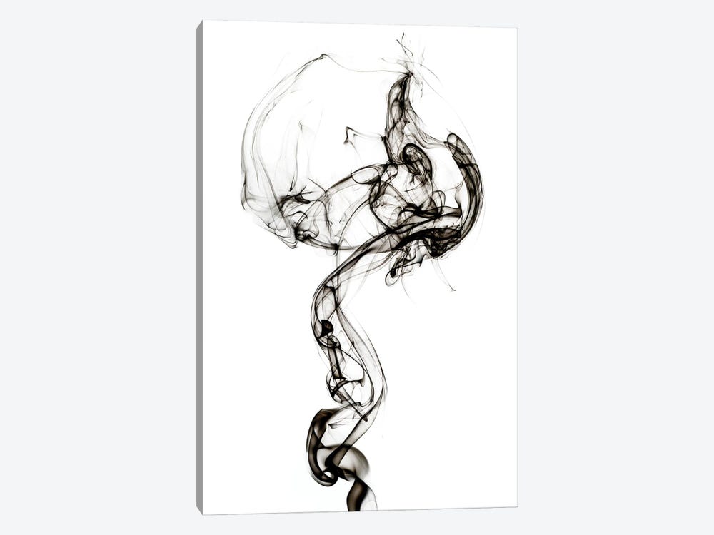 Abstract Black Smoke - Medusa by Philippe Hugonnard 1-piece Canvas Art