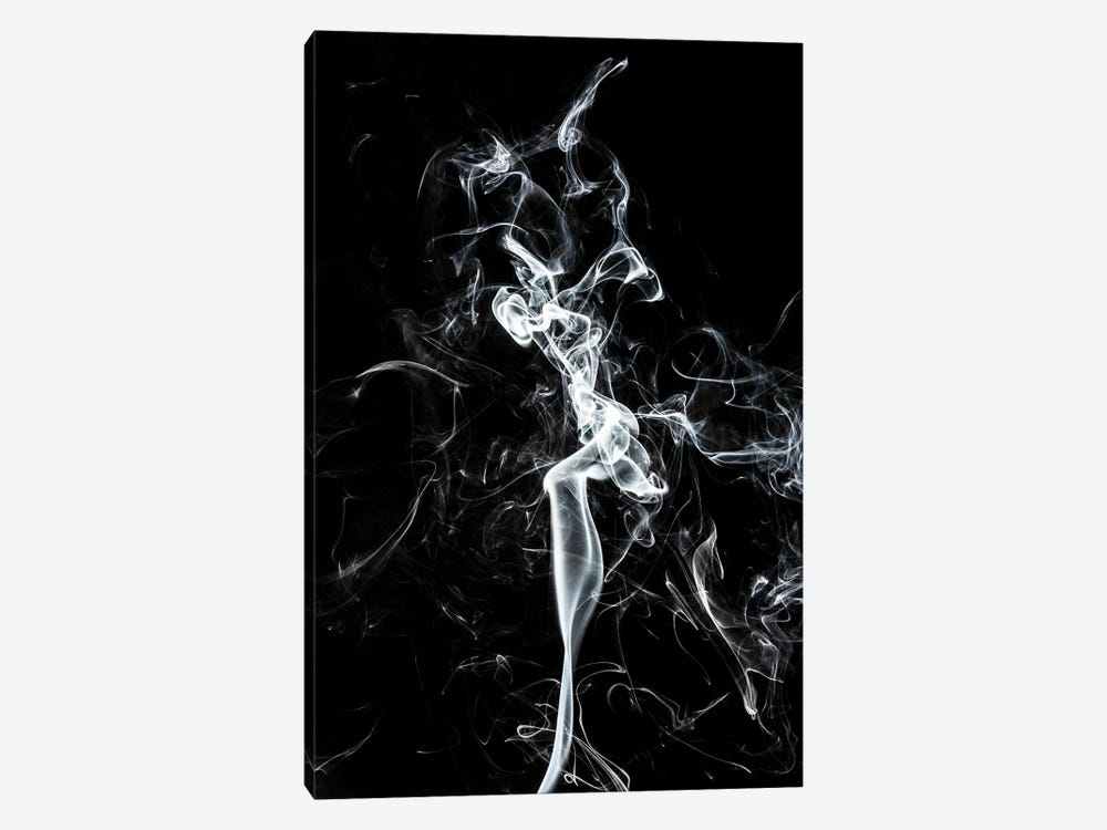 Abstract White Smoke - The Dancer by Philippe Hugonnard 1-piece Canvas Print