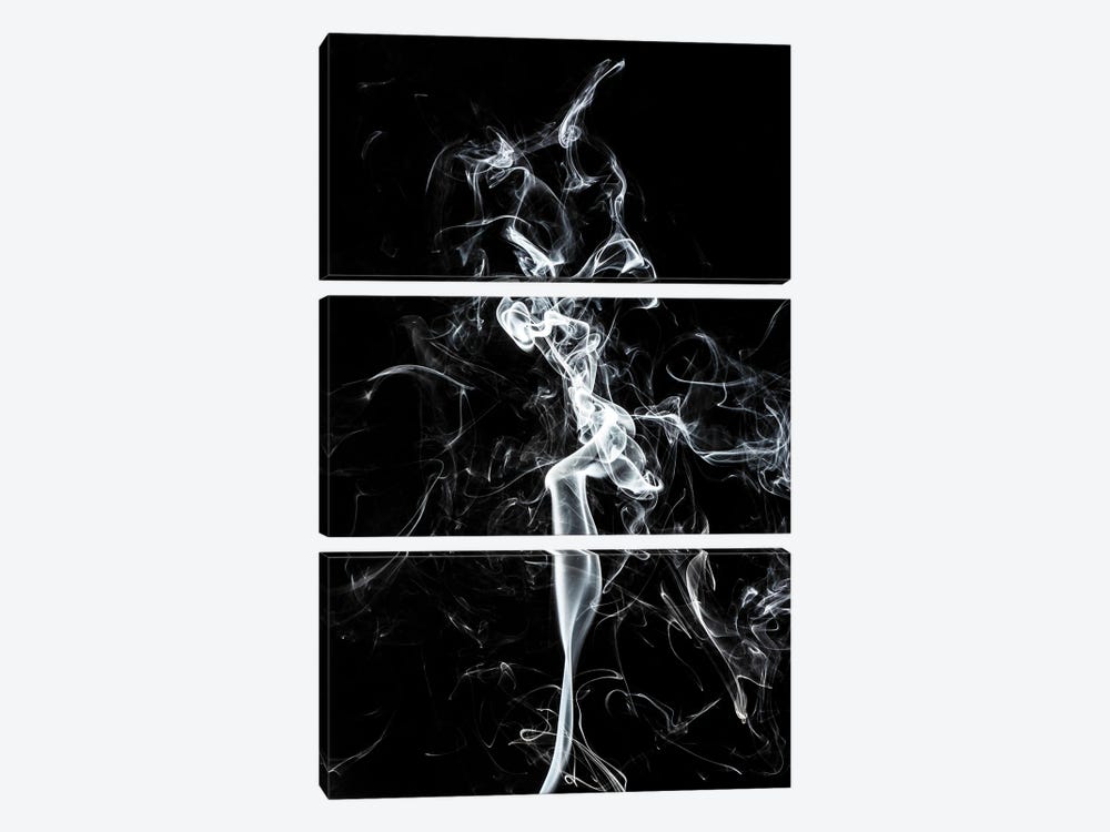 Abstract White Smoke - The Dancer by Philippe Hugonnard 3-piece Art Print