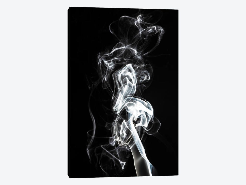 Abstract White Smoke - Seahorse by Philippe Hugonnard 1-piece Canvas Art