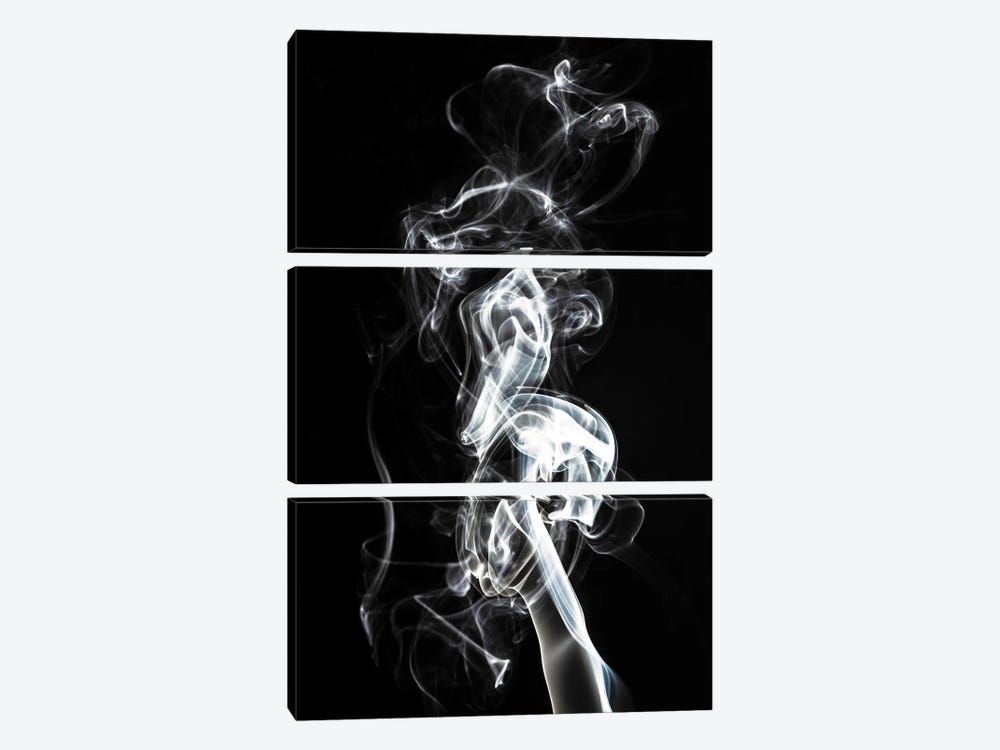Abstract White Smoke - Seahorse by Philippe Hugonnard 3-piece Canvas Wall Art