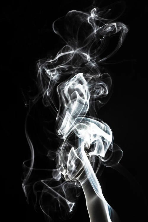 Abstract White Smoke - Seahorse