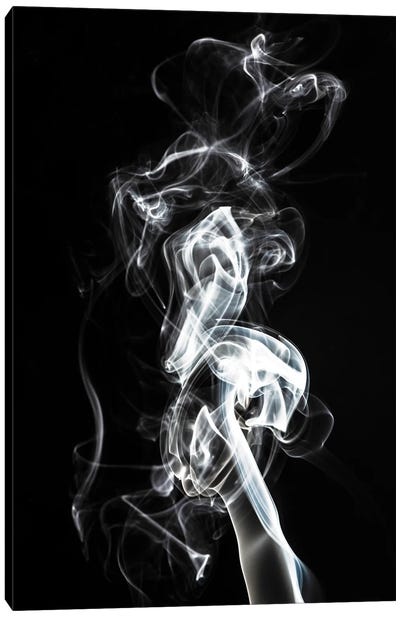Abstract White Smoke - Seahorse Canvas Art Print - Abstract Smoke