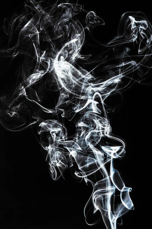 Abstract White Smoke - Horse Fever