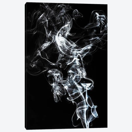Abstract White Smoke - Horse Fever Canvas Print #PHD2327} by Philippe Hugonnard Art Print