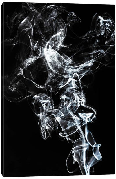 Abstract White Smoke - Horse Fever Canvas Art Print - Abstract Smoke