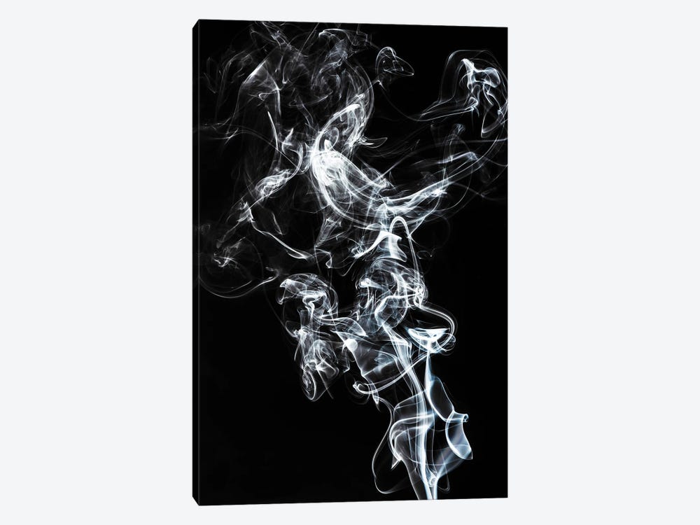Abstract White Smoke - Horse Fever by Philippe Hugonnard 1-piece Canvas Art Print