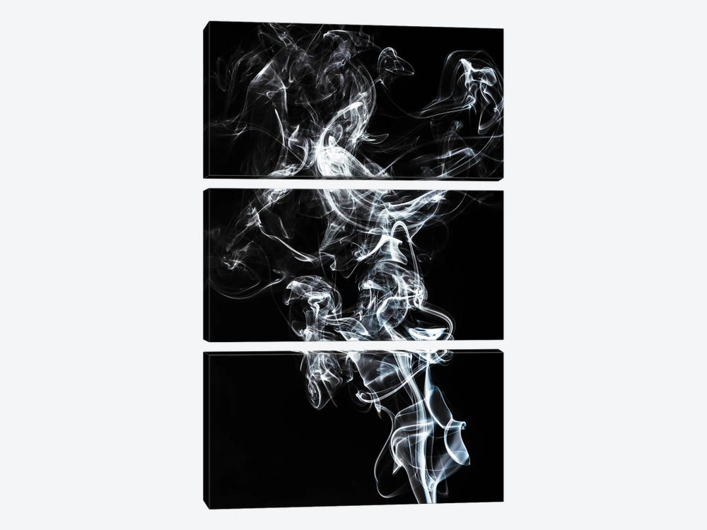 Abstract White Smoke - Horse Fever by Philippe Hugonnard 3-piece Canvas Art Print