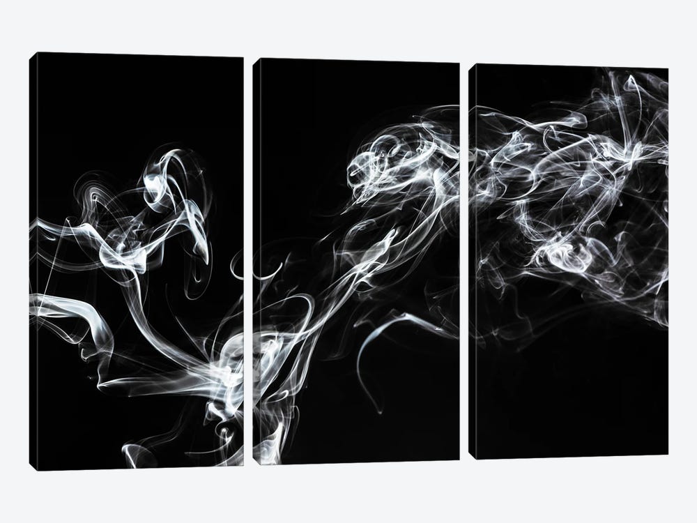 Abstract White Smoke - Spirit Mood by Philippe Hugonnard 3-piece Canvas Artwork