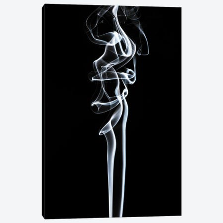 Abstract White Smoke - Sensual Canvas Print #PHD2329} by Philippe Hugonnard Canvas Artwork