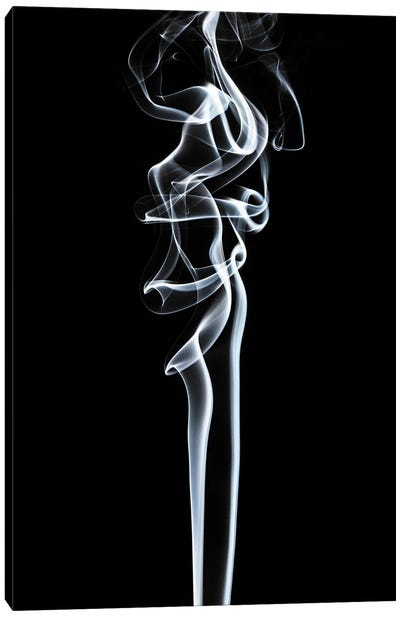 Abstract White Smoke - Sensual Canvas Art Print - Abstract Smoke