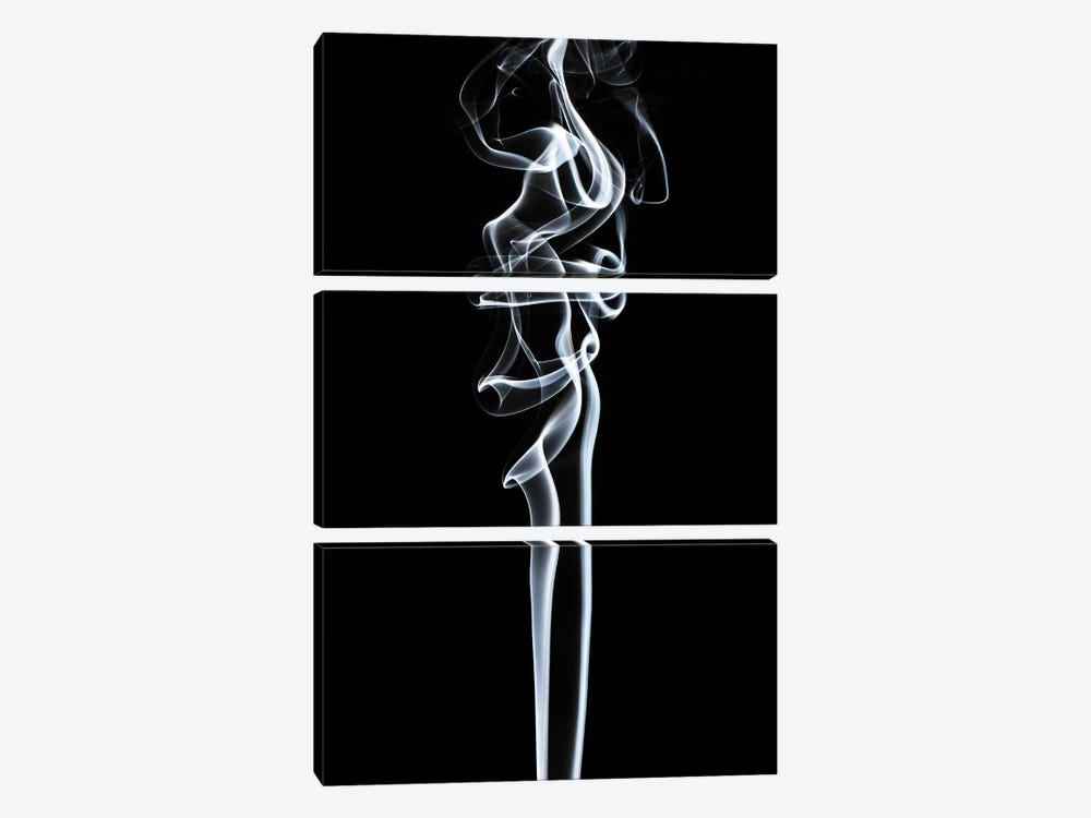 Abstract White Smoke - Sensual by Philippe Hugonnard 3-piece Canvas Print